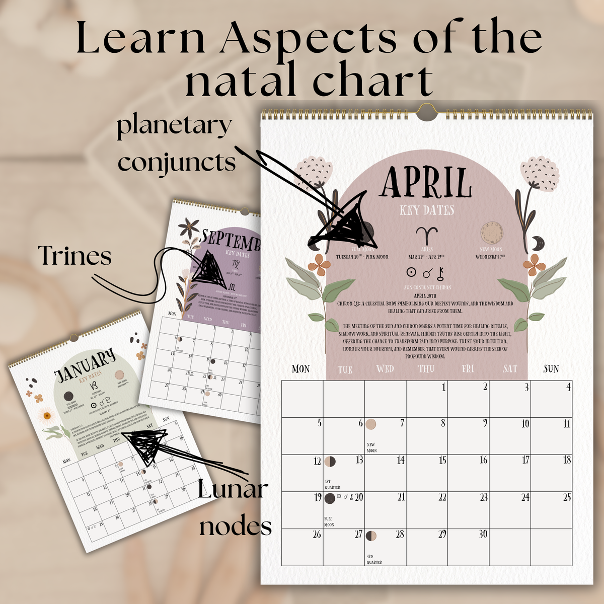 2027 Lunar Calendar, Luna Moth Moon Phase Wall Calendar, A4 Witch Calendar