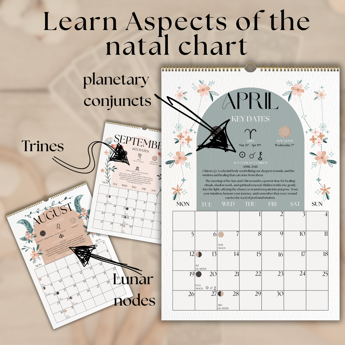 2027 Lunar Calendar, Mystical Moth Moon Phase Wall Calendar, A4 Witch Décor